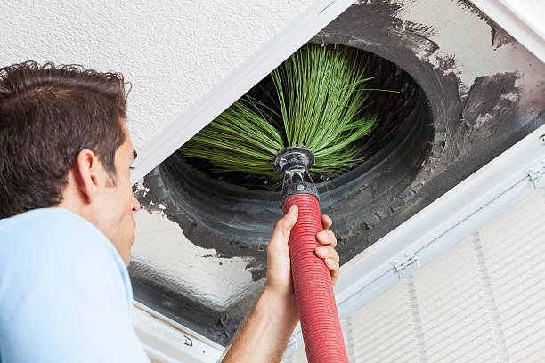 Air Duct Mold Removal in Grangeville, ID